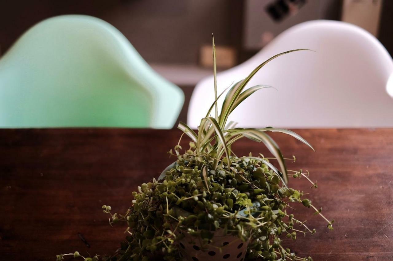 Leonidas Design Loft Mendoza Buitenkant foto